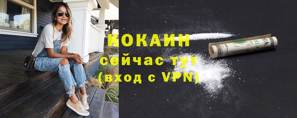 молекула духа Волосово