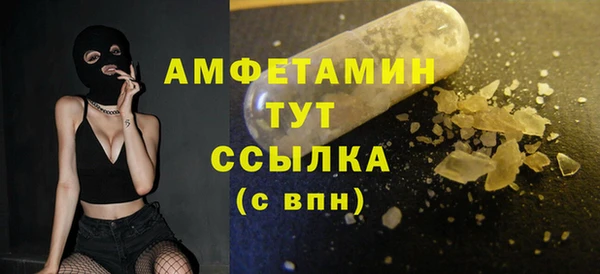 молекула духа Волосово