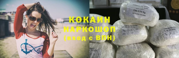 молекула духа Волосово