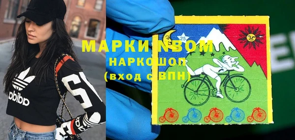 молекула духа Волосово