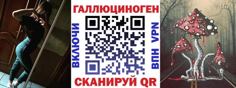 Купить где  Салехард  Псилоцибиновые грибы Cubensis 